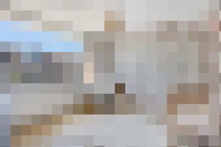 Heinencamp 30 Nijkerk thumbnail 21