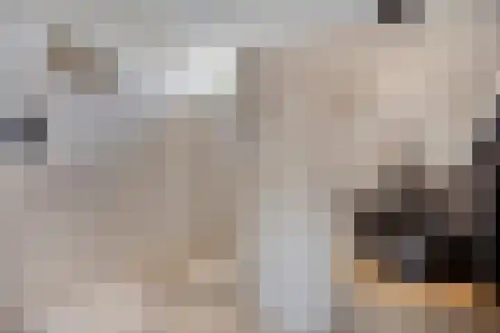 Heinencamp 30 Nijkerk thumbnail 24