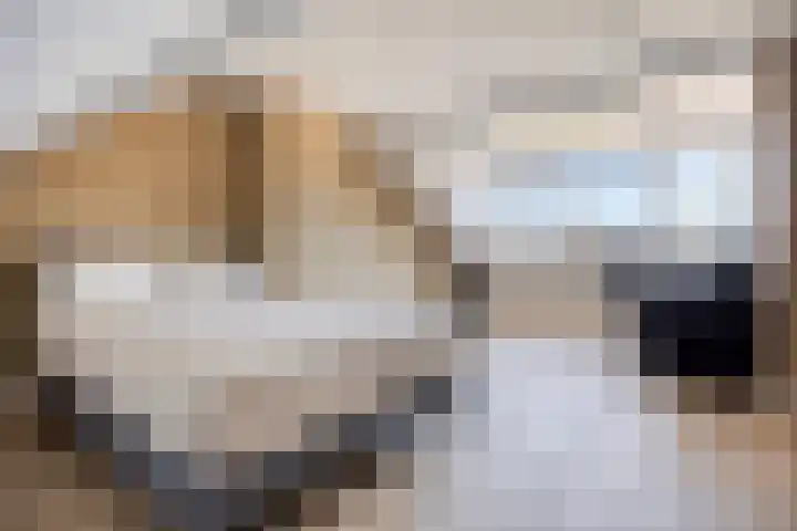 Heinencamp 30 Nijkerk thumbnail 29
