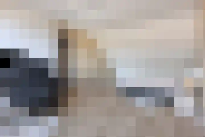 Heinencamp 30 Nijkerk thumbnail 30