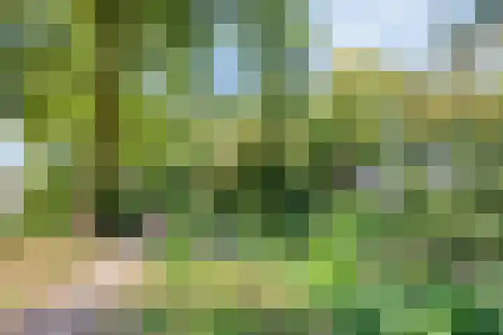 Heinencamp 30 Nijkerk thumbnail 34