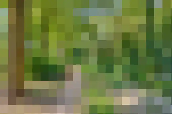 Heinencamp 30 Nijkerk thumbnail 35
