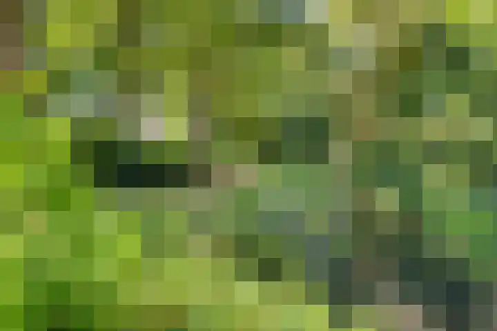 Heinencamp 30 Nijkerk thumbnail 37