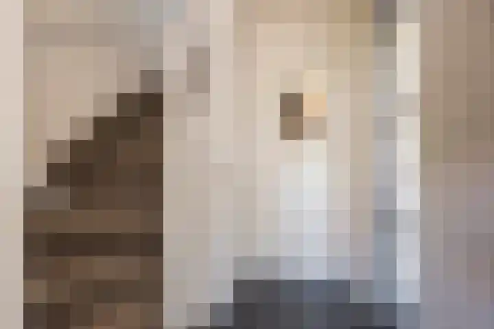 Heinencamp 5 Nijkerk thumbnail 12