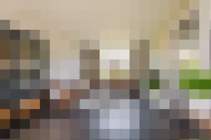 Heinencamp 5 Nijkerk thumbnail 13