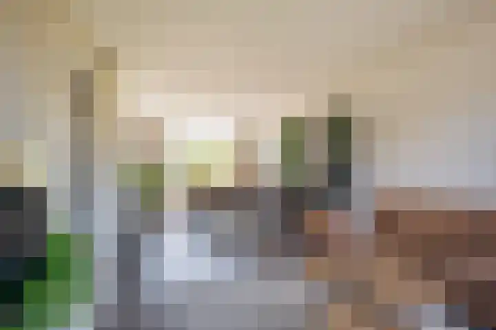 Heinencamp 5 Nijkerk thumbnail 15