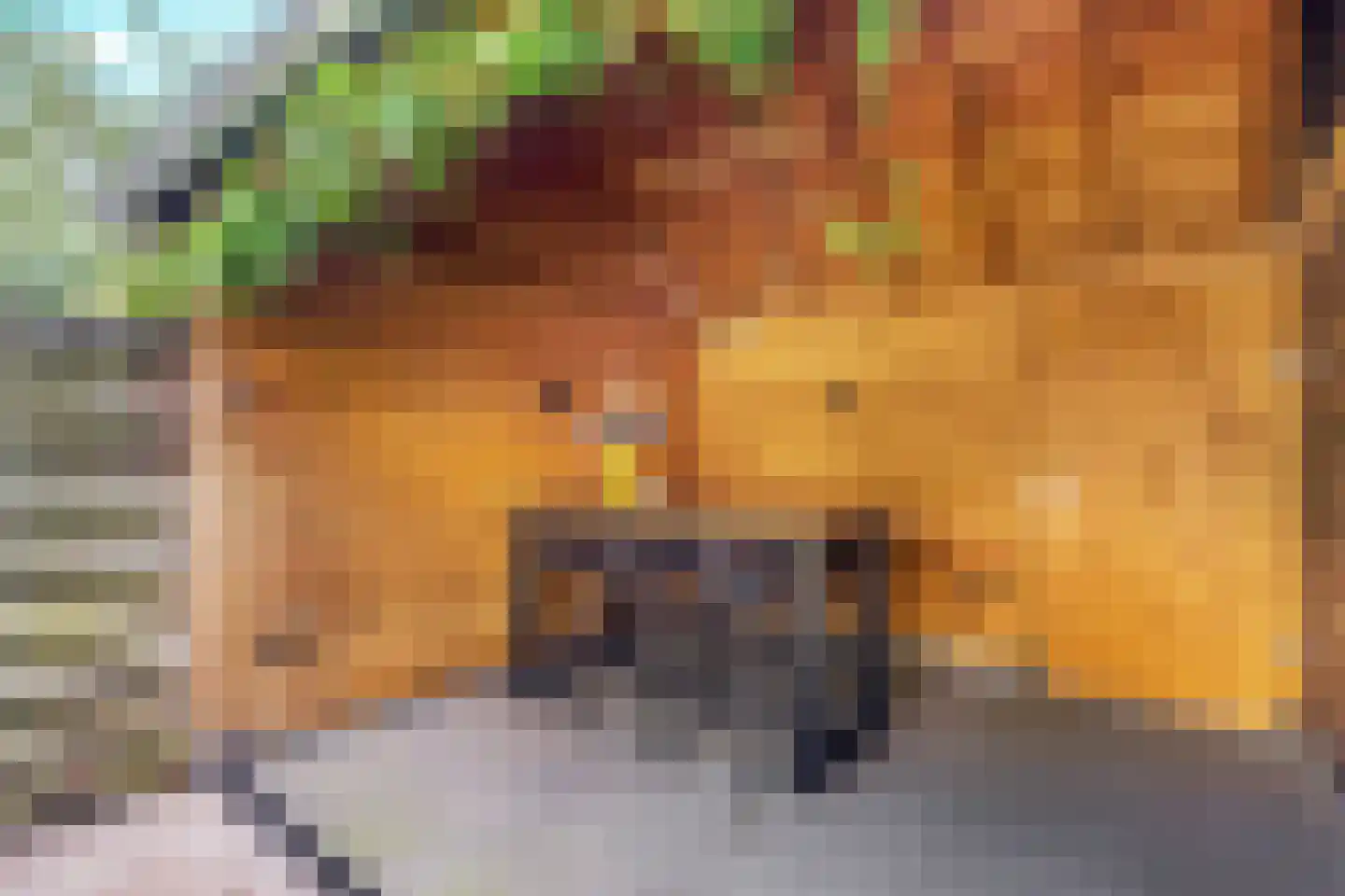 Heinencamp 5 Nijkerk thumbnail 45