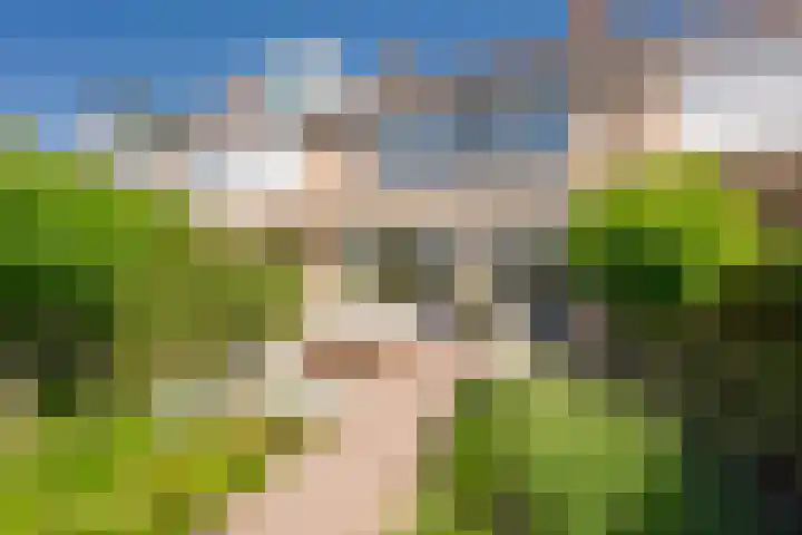 Heinencamp 5 Nijkerk thumbnail 6