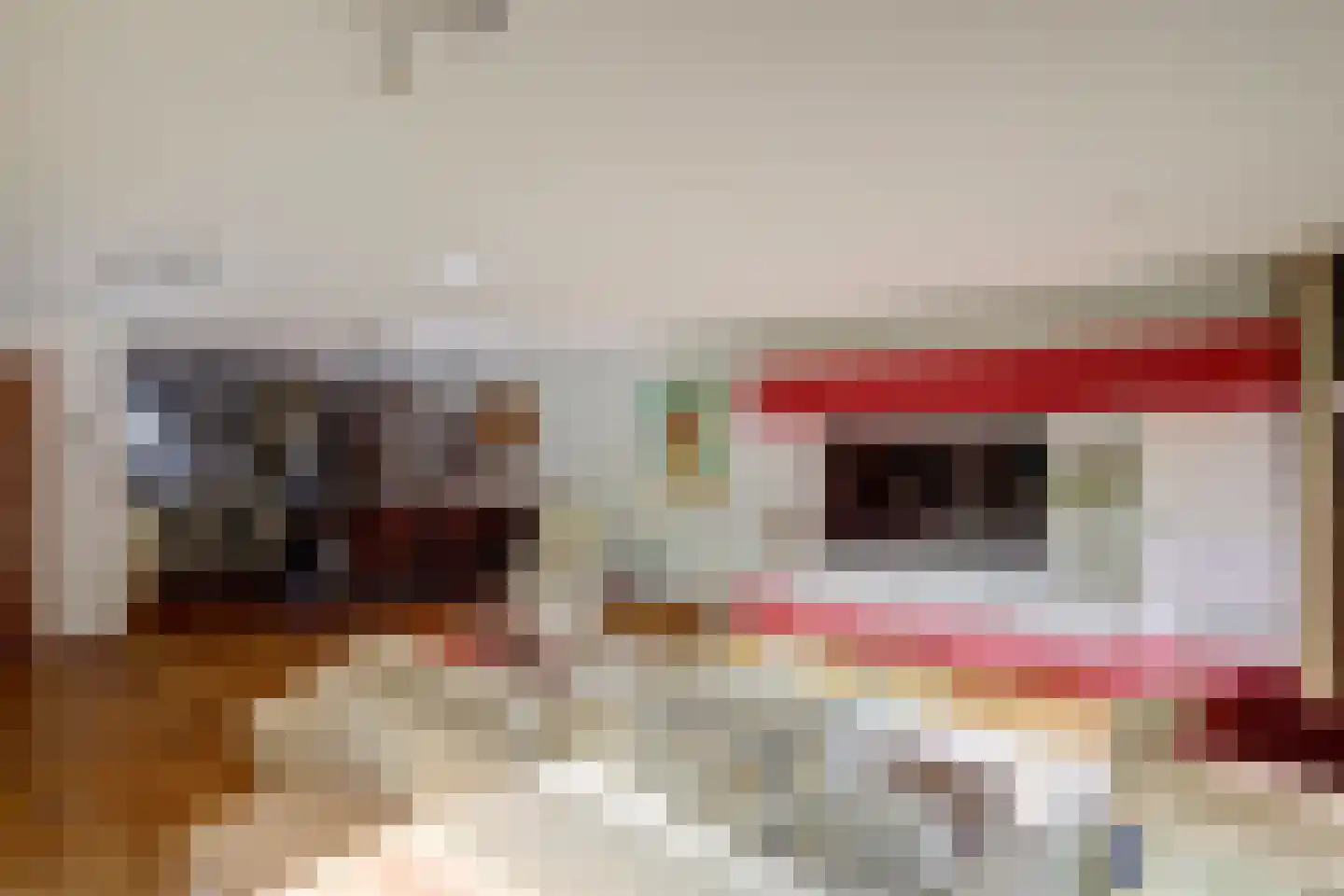 Heinenoordstraat 22 Zoetermeer thumbnail 10