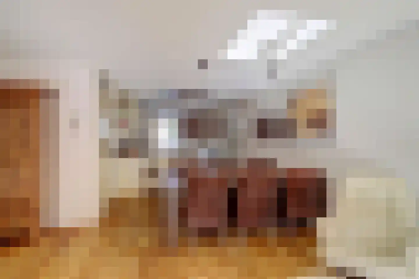 Heinenoordstraat 22 Zoetermeer thumbnail 11