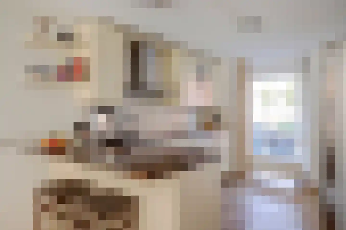 Heinenoordstraat 22 Zoetermeer thumbnail 12