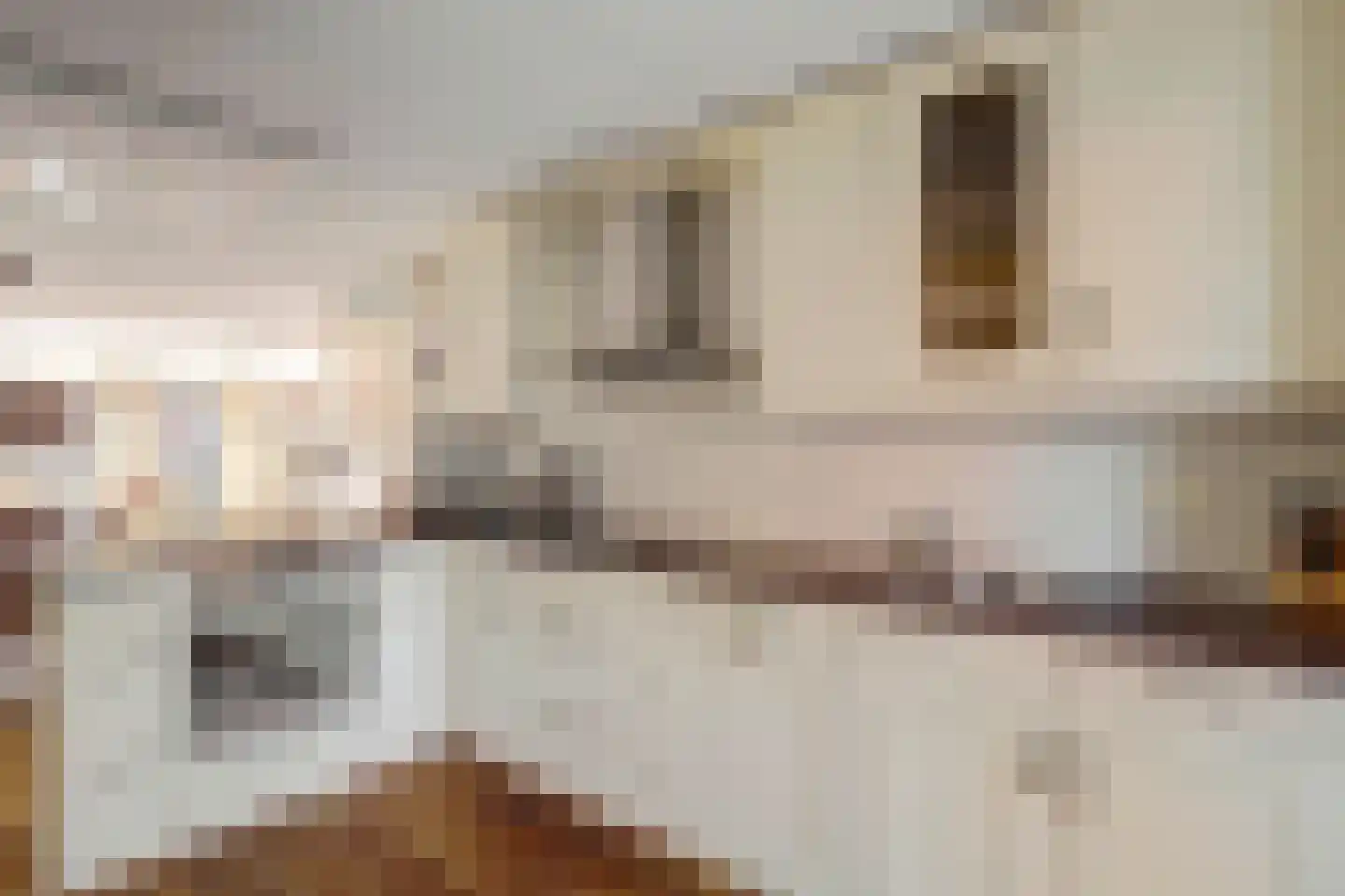 Heinenoordstraat 22 Zoetermeer thumbnail 13