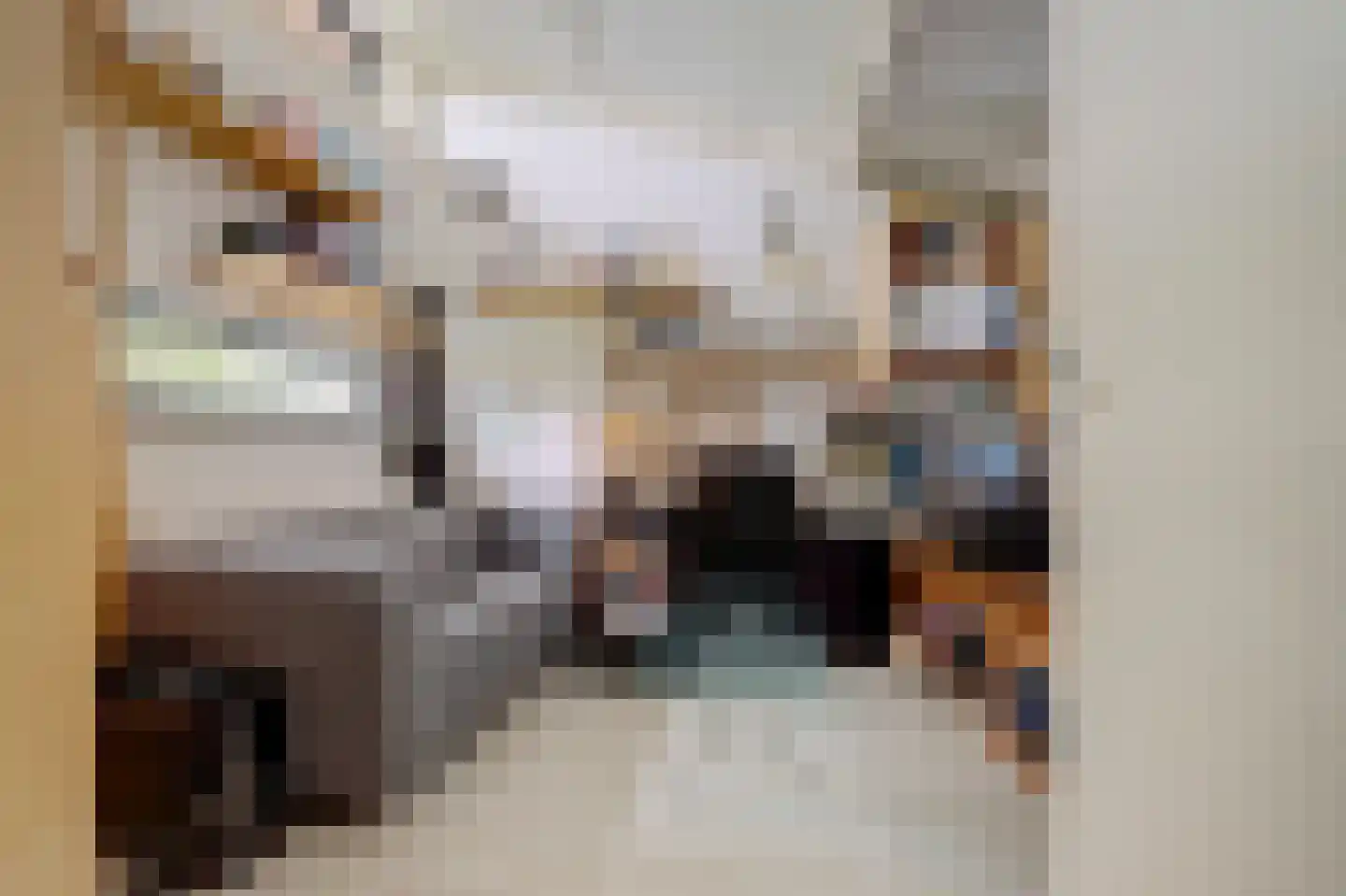 Heinenoordstraat 22 Zoetermeer thumbnail 26