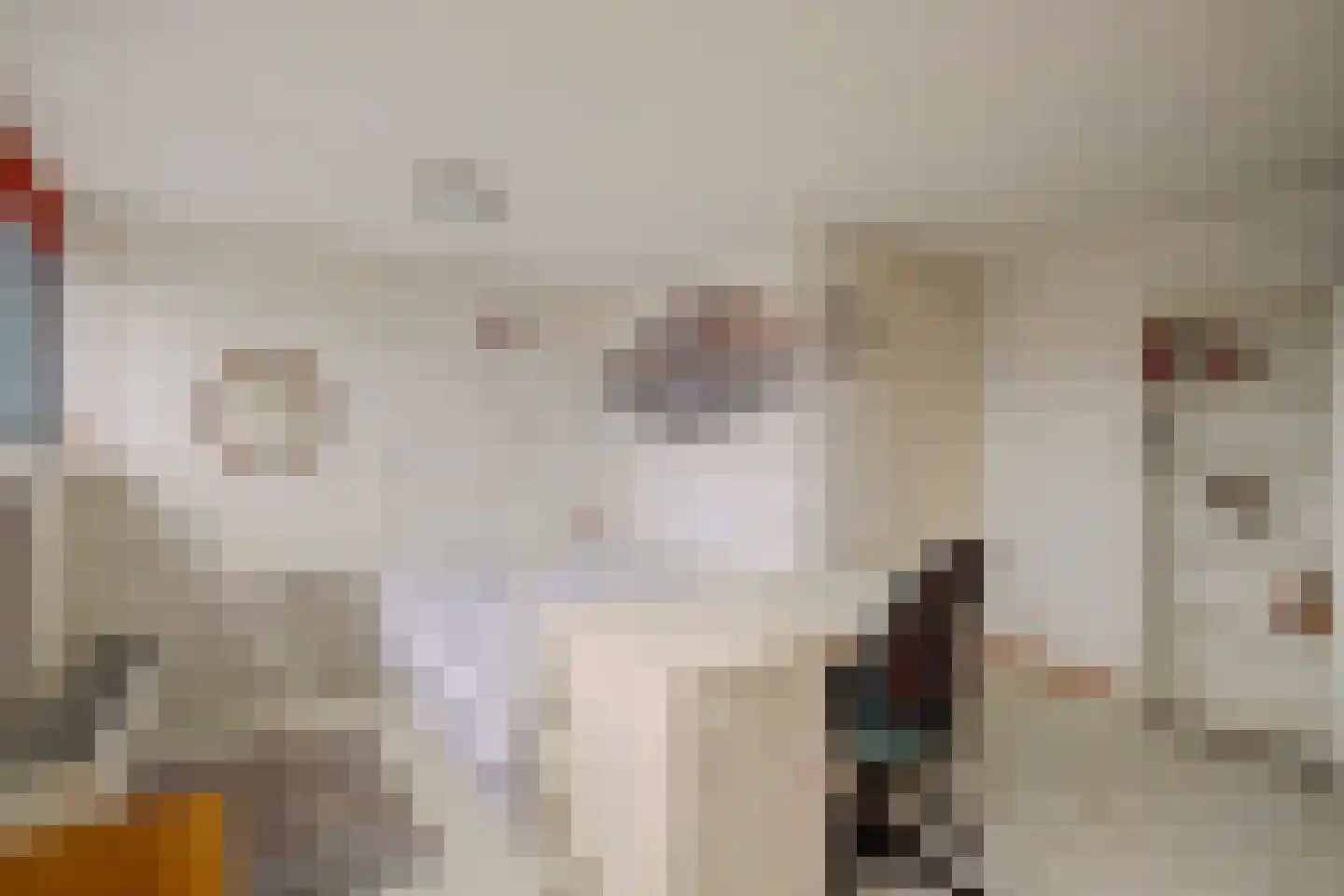 Heinenoordstraat 22 Zoetermeer thumbnail 27