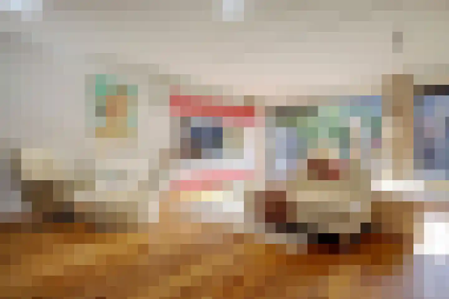 Heinenoordstraat 22 Zoetermeer thumbnail 9