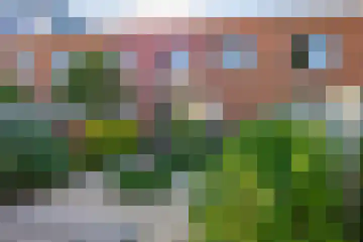 Heinenoordstraat 7 Zoetermeer thumbnail 21