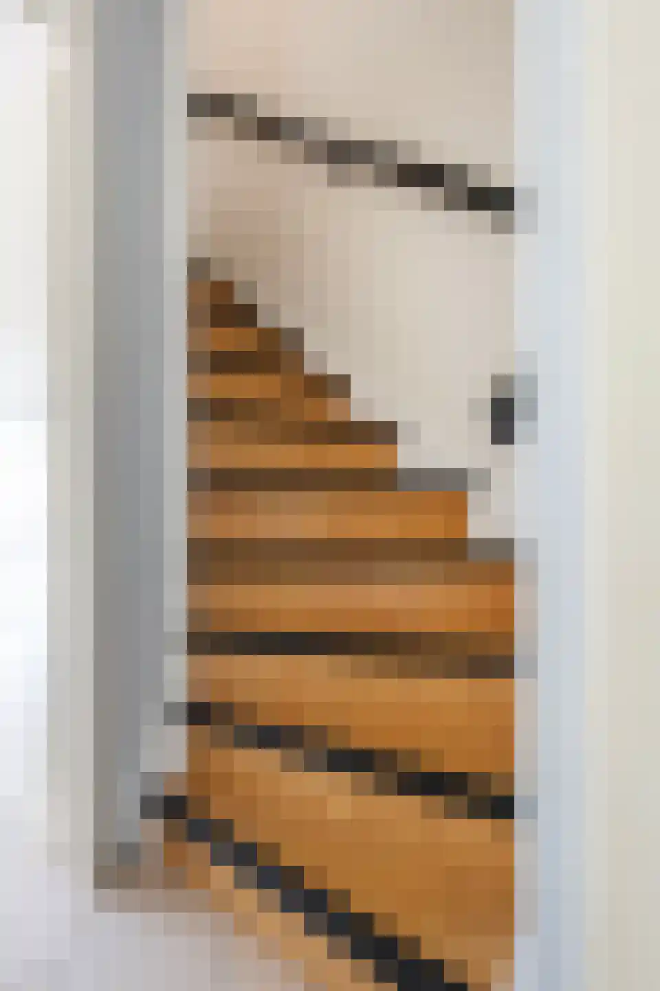 Heinenoordstraat 8 Zoetermeer thumbnail 14