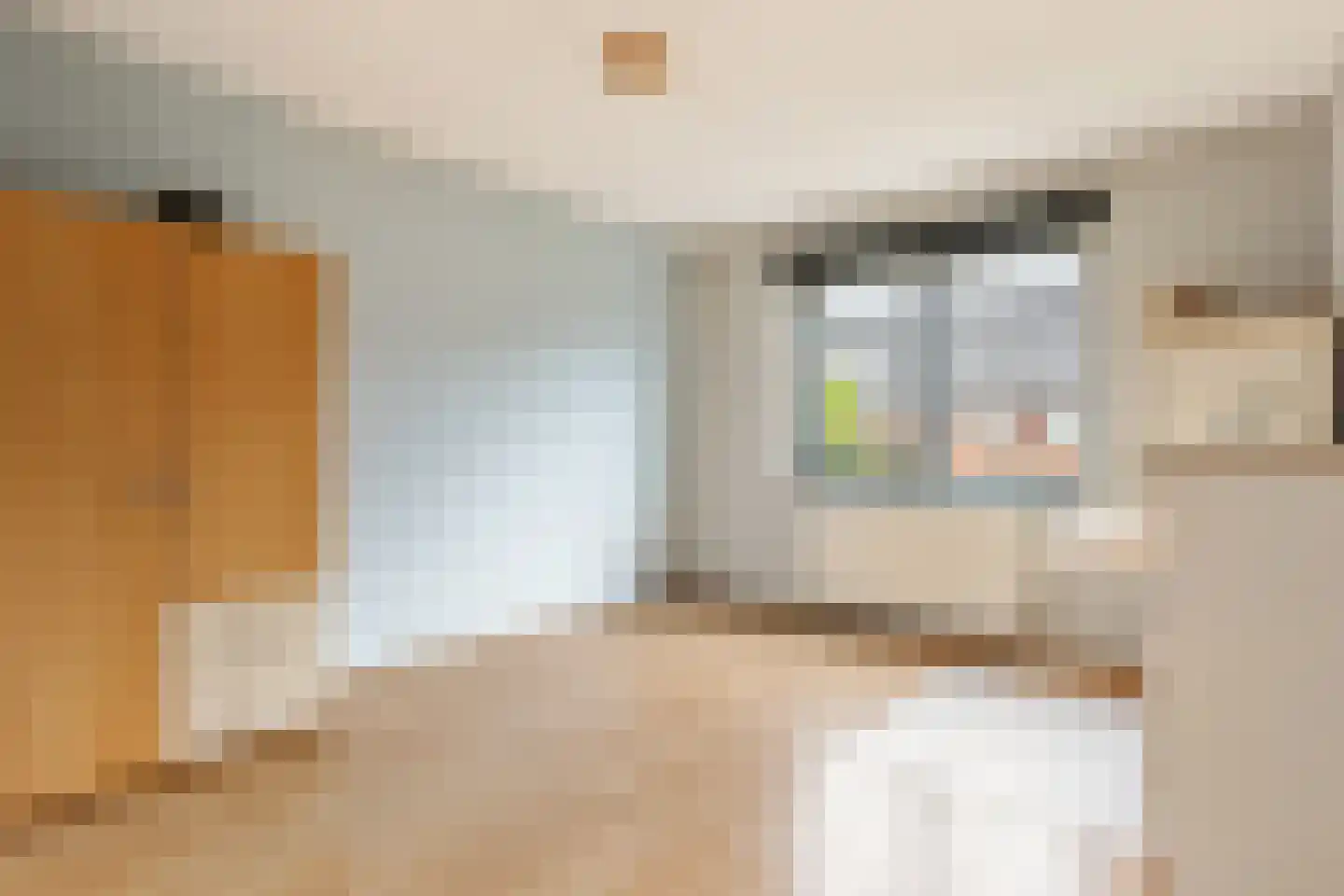 Heinenoordstraat 8 Zoetermeer thumbnail 17