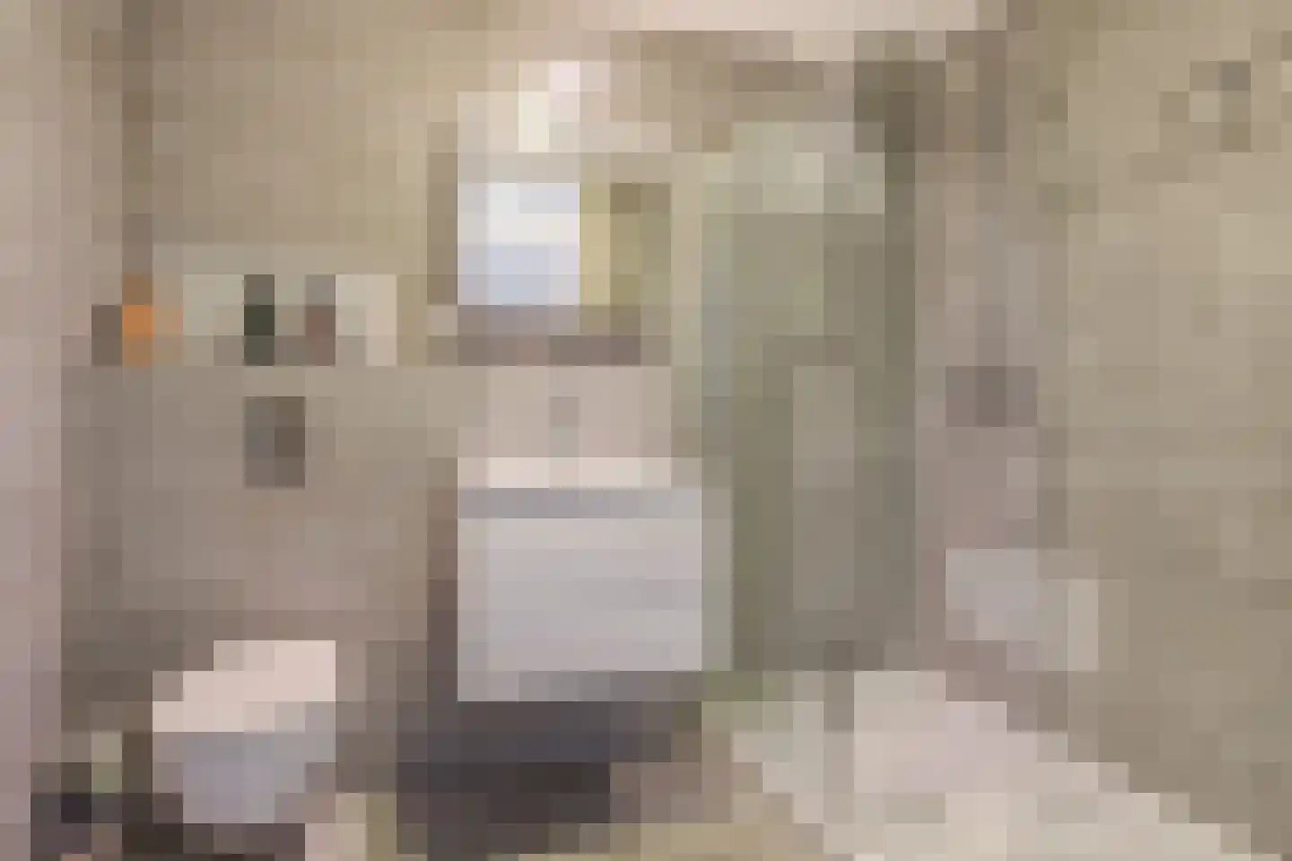 Heinenoordstraat 8 Zoetermeer thumbnail 18