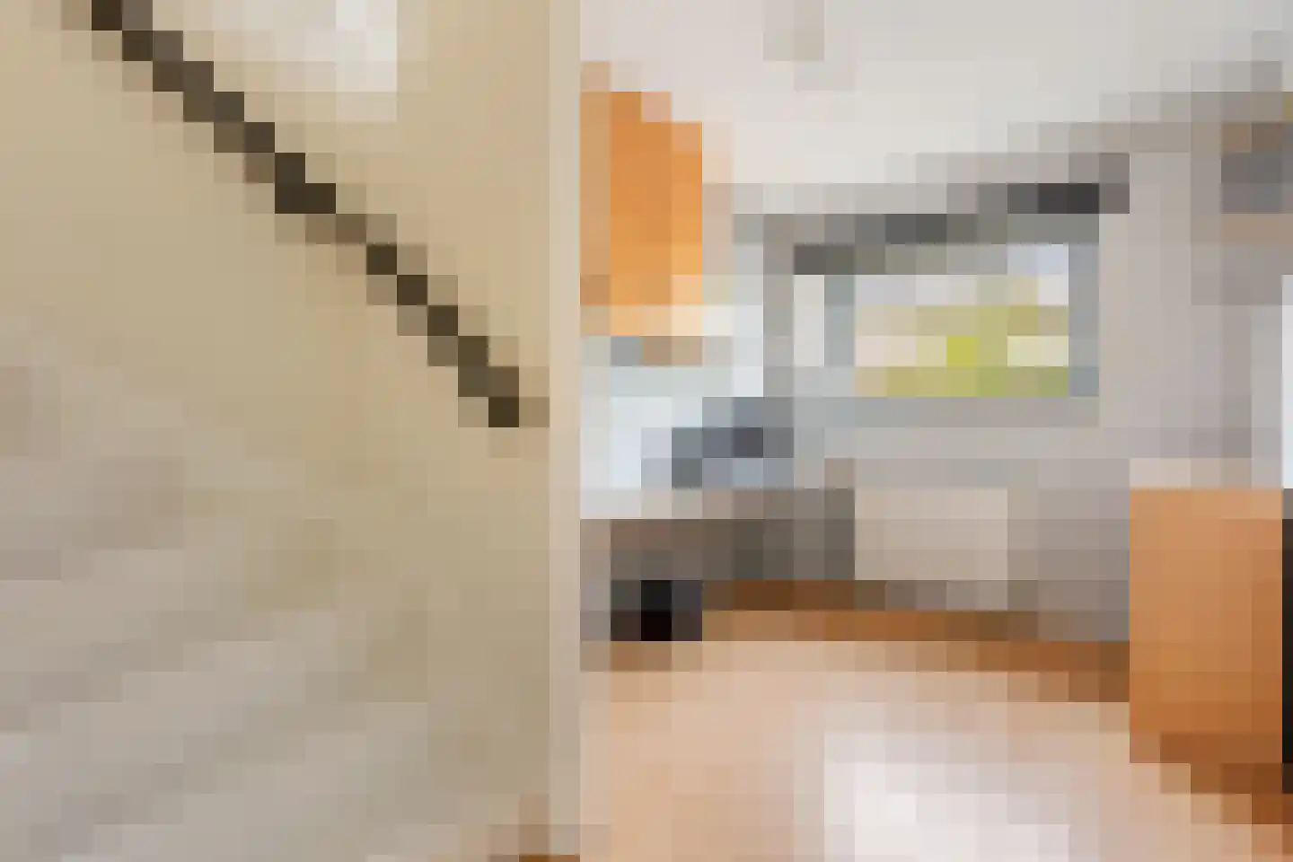 Heinenoordstraat 8 Zoetermeer thumbnail 23