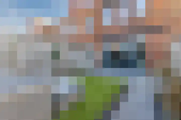 Heinenwaard 11 Alkmaar thumbnail 33