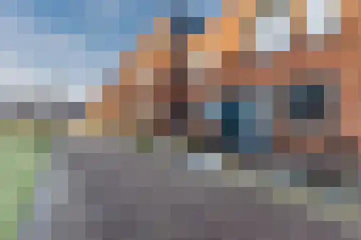Heinenwaard 11 Alkmaar thumbnail 37