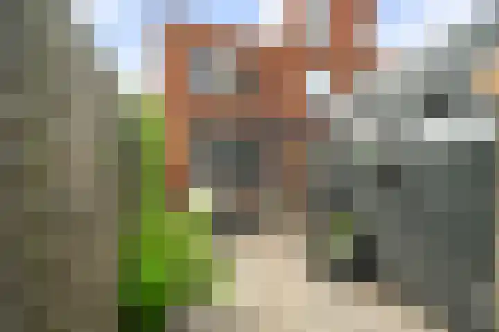 Heinenwaard 16 Alkmaar thumbnail 29