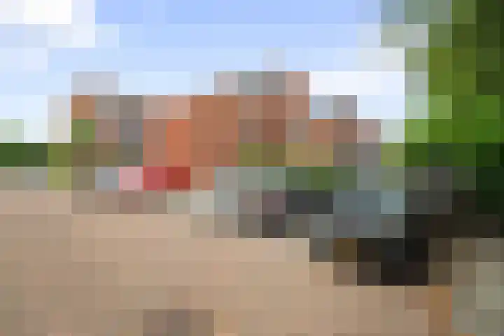 Heinenwaard 16 Alkmaar thumbnail 30