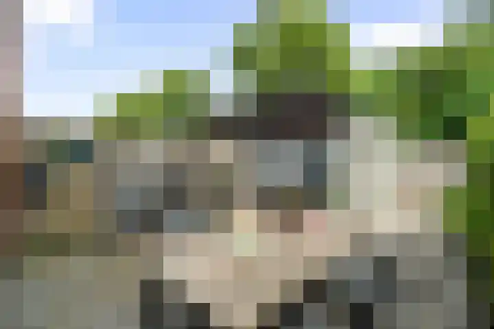Heinenwaard 16 Alkmaar thumbnail 4