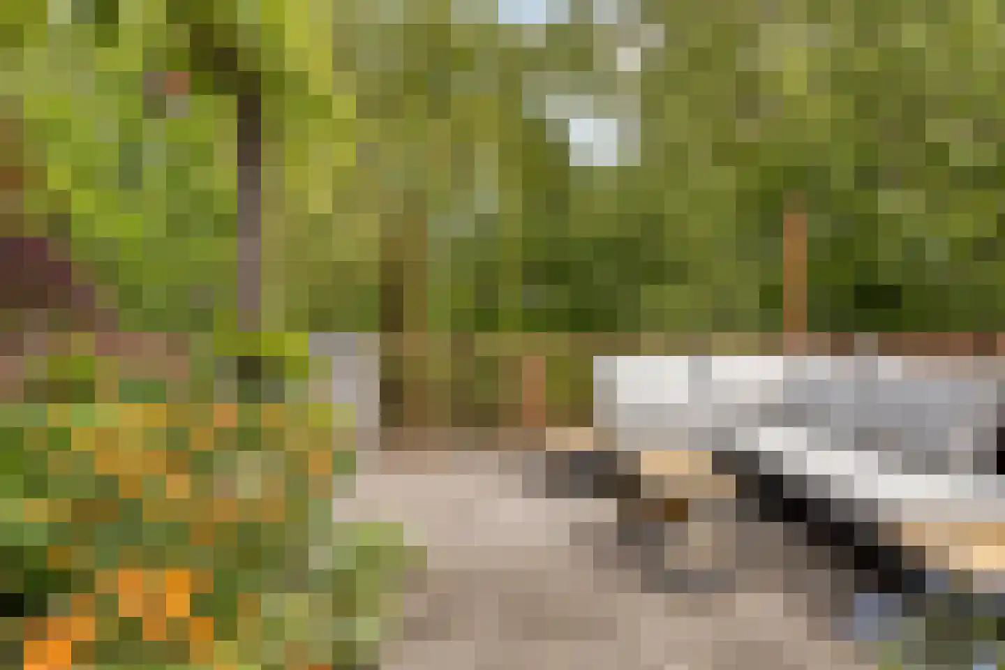 Heinenwaard 23 Alkmaar thumbnail 22