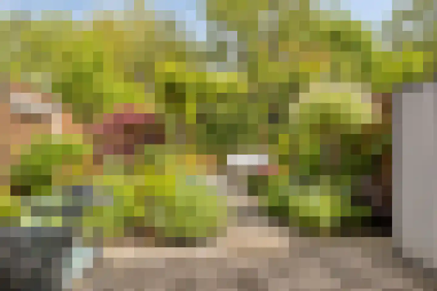 Heinenwaard 23 Alkmaar thumbnail 23