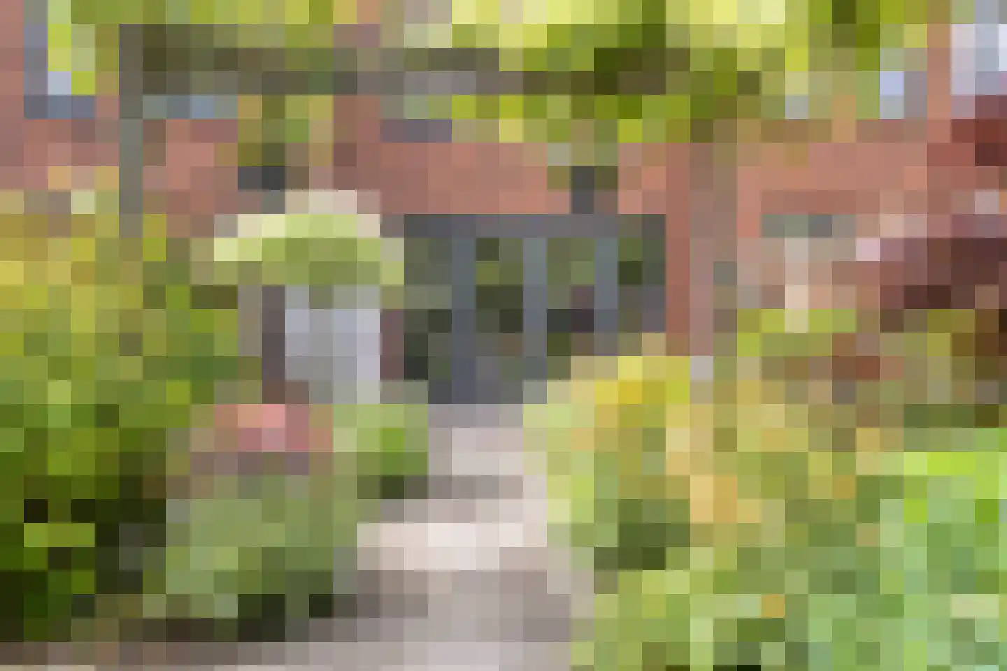 Heinenwaard 23 Alkmaar thumbnail 24