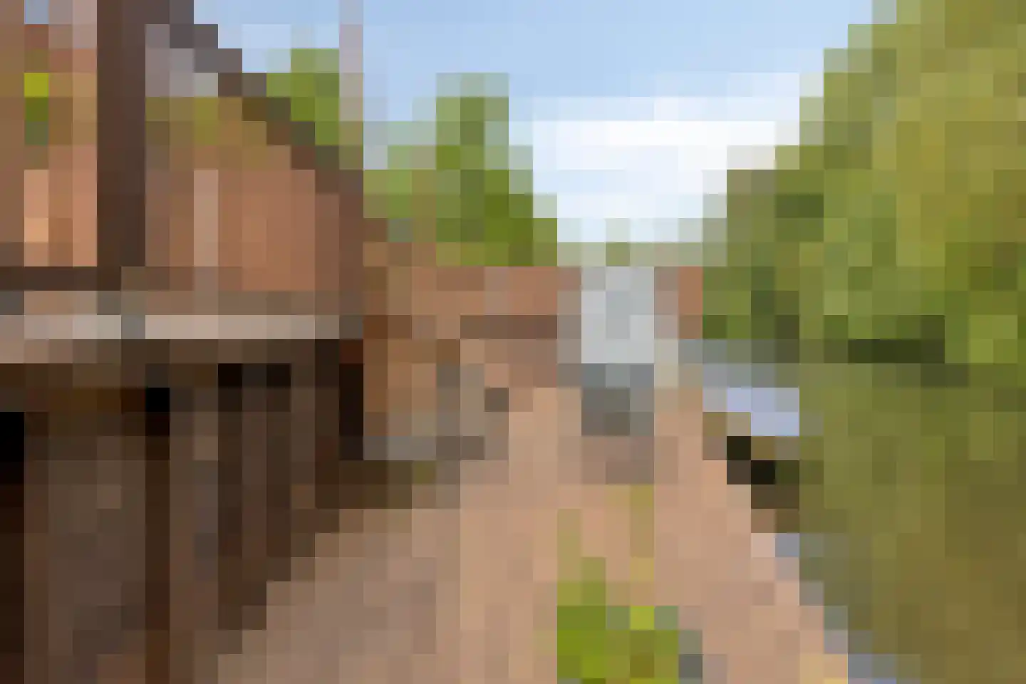 Heinenwaard 23 Alkmaar thumbnail 25