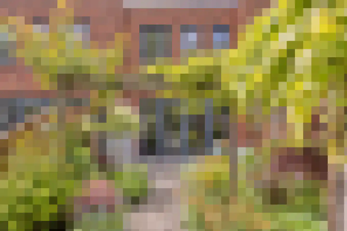 Heinenwaard 23 Alkmaar thumbnail 27