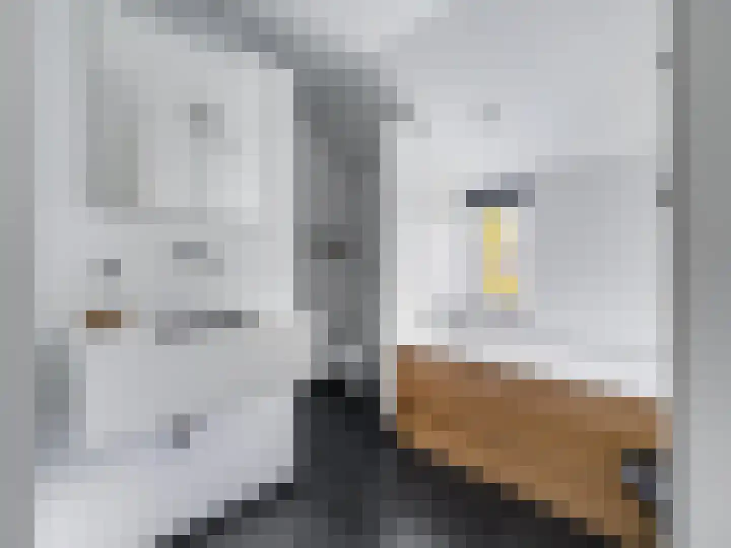 Heining 7 Bavel thumbnail 17