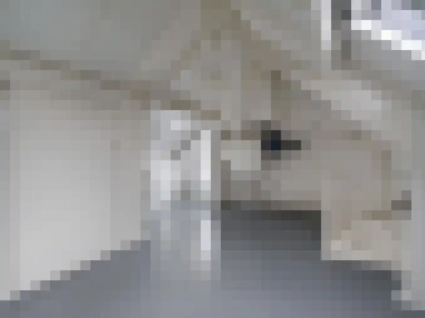 Heining 7 Bavel thumbnail 22
