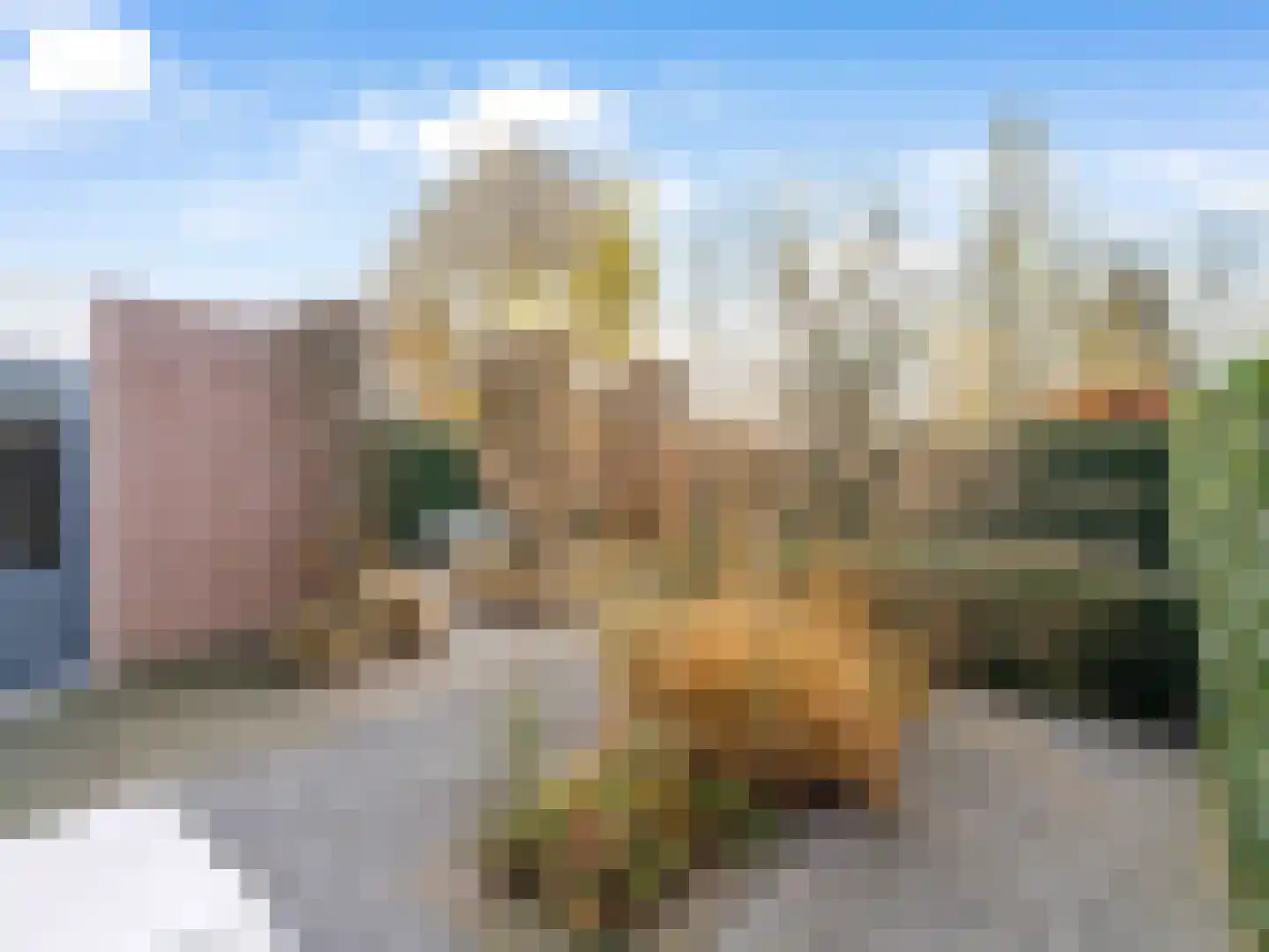Heining 7 Bavel thumbnail 24