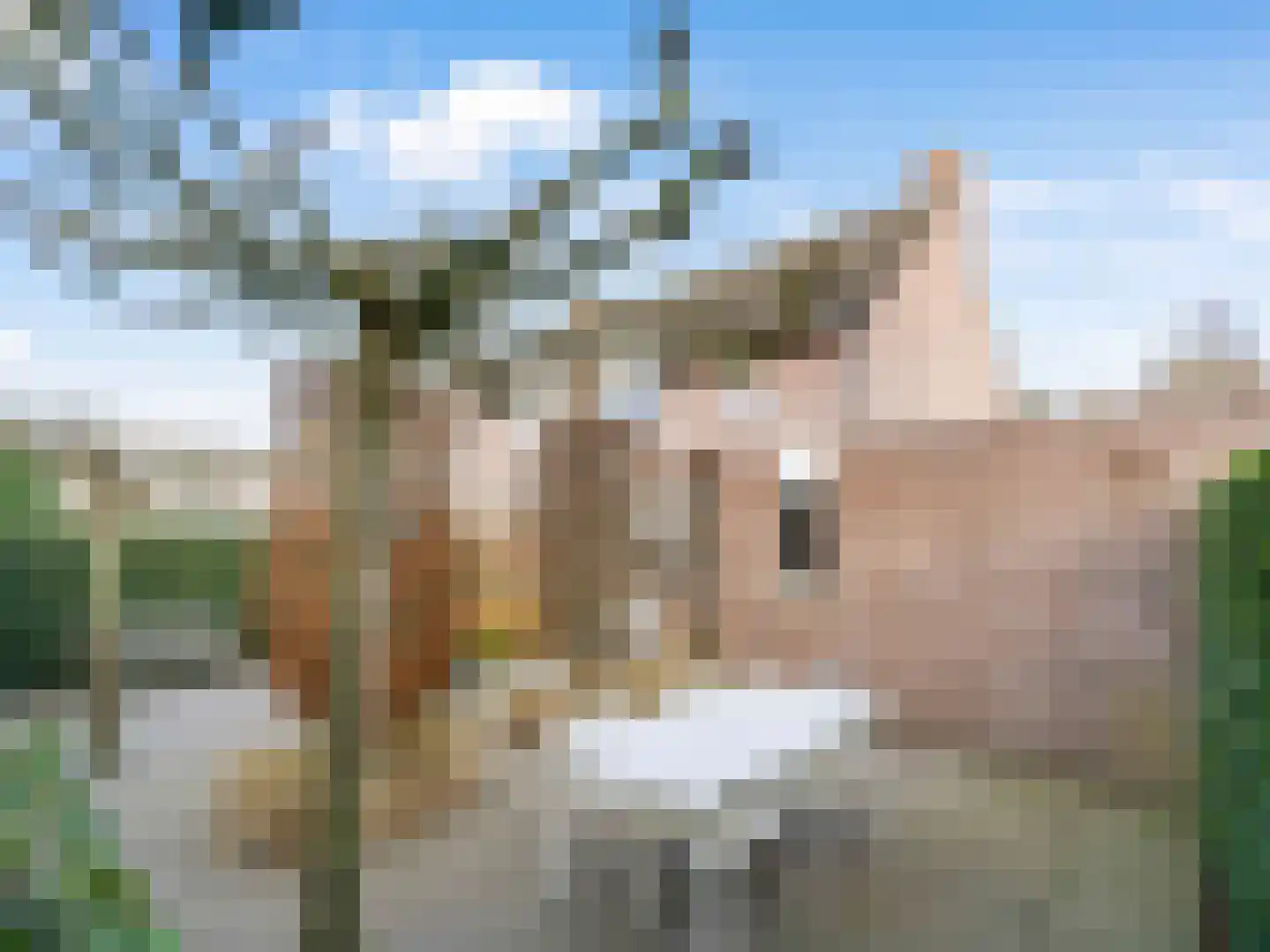 Heining 7 Bavel thumbnail 26