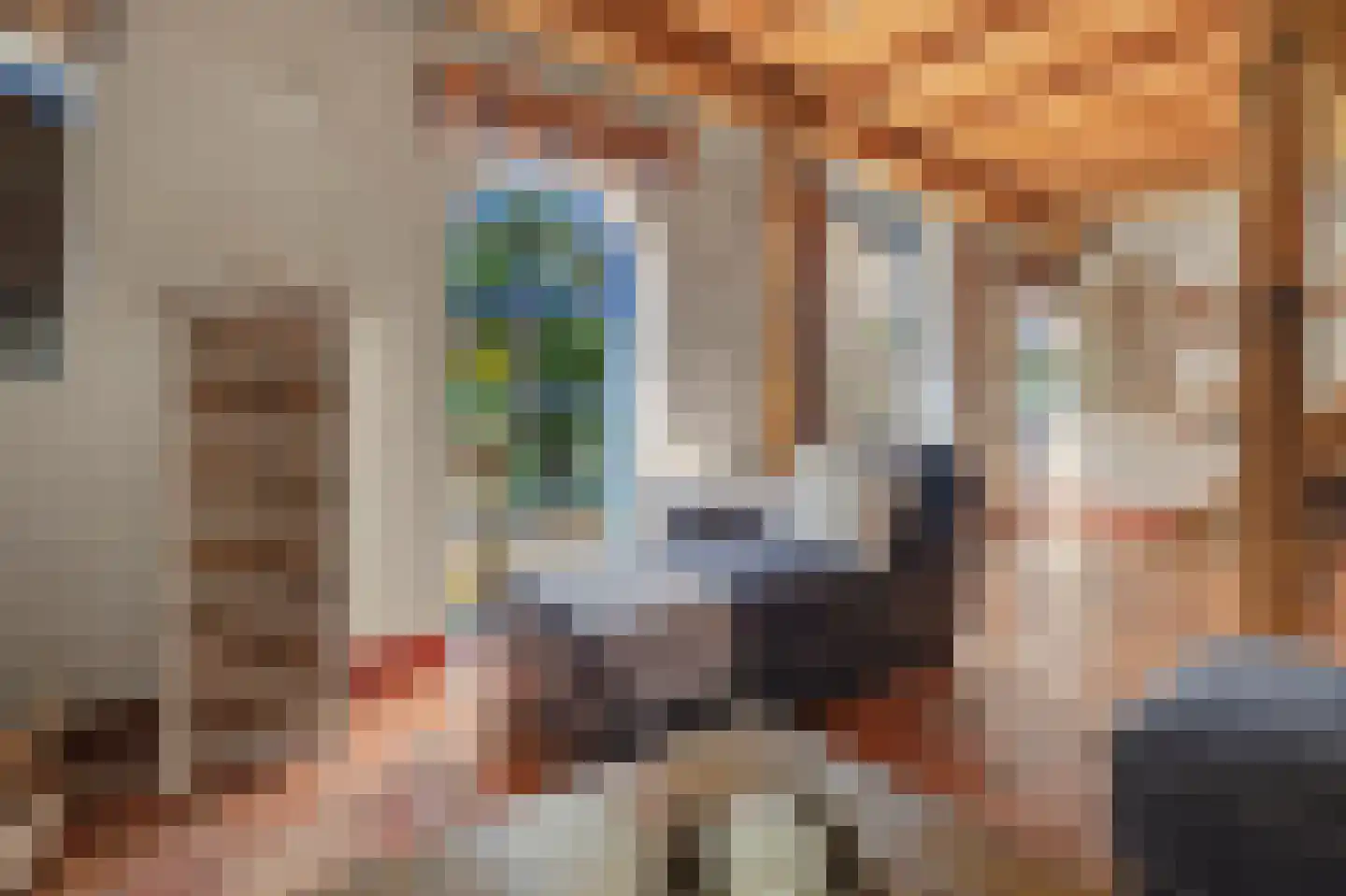 Heinis 12 's-Hertogenbosch thumbnail 10