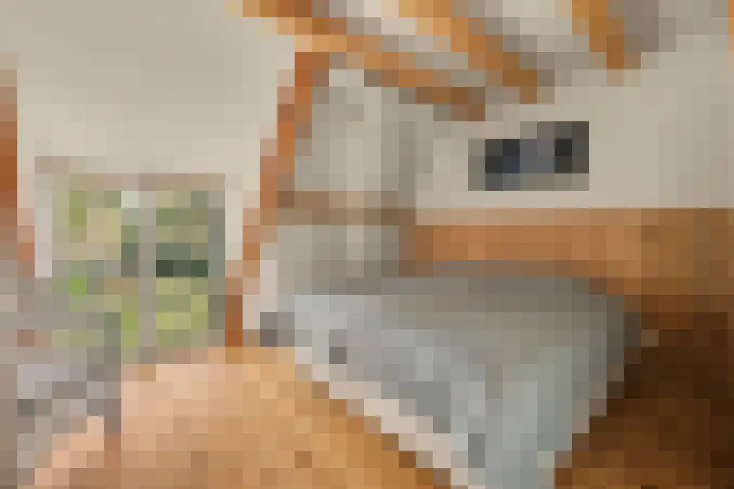 Heinis 12 's-Hertogenbosch thumbnail 17