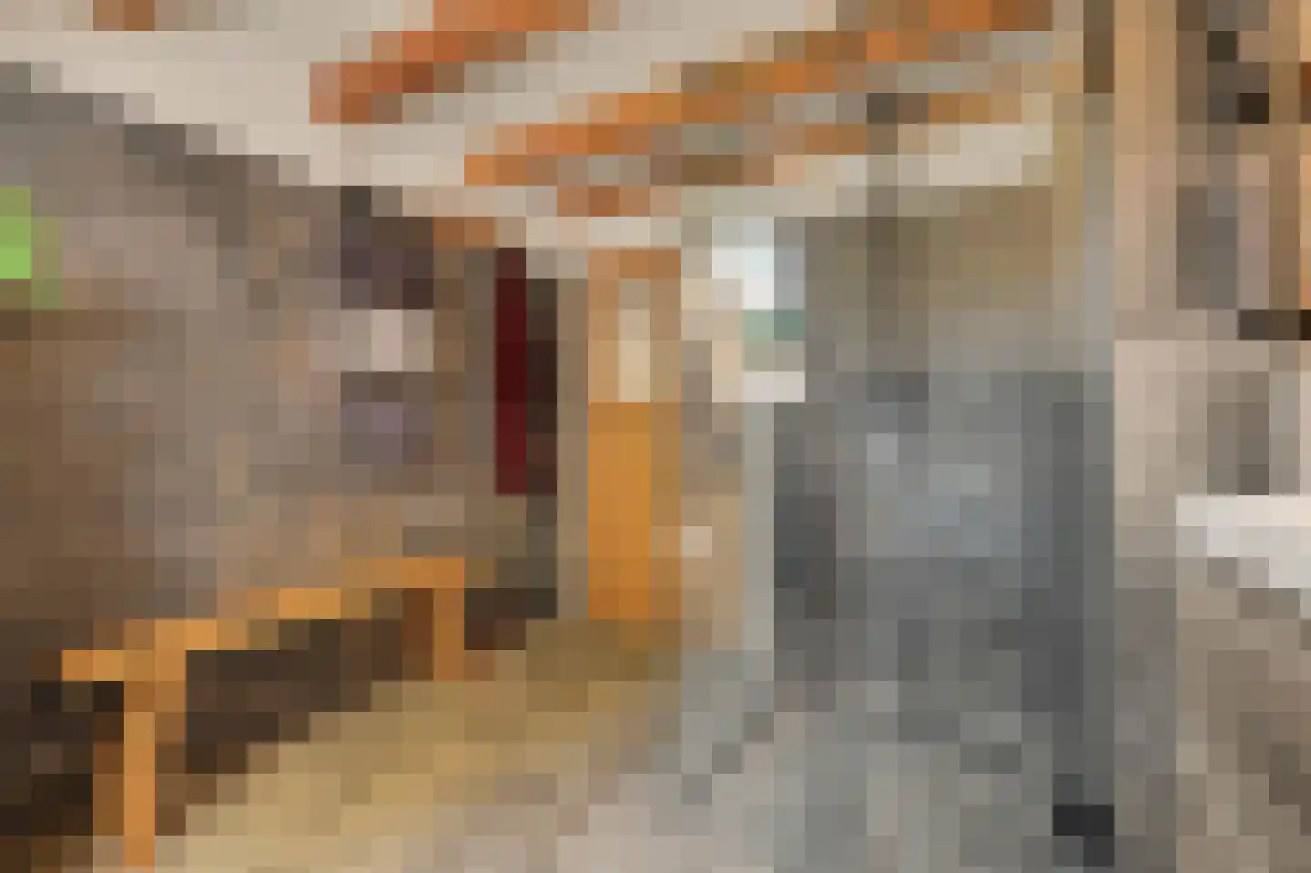 Heinis 12 's-Hertogenbosch thumbnail 23