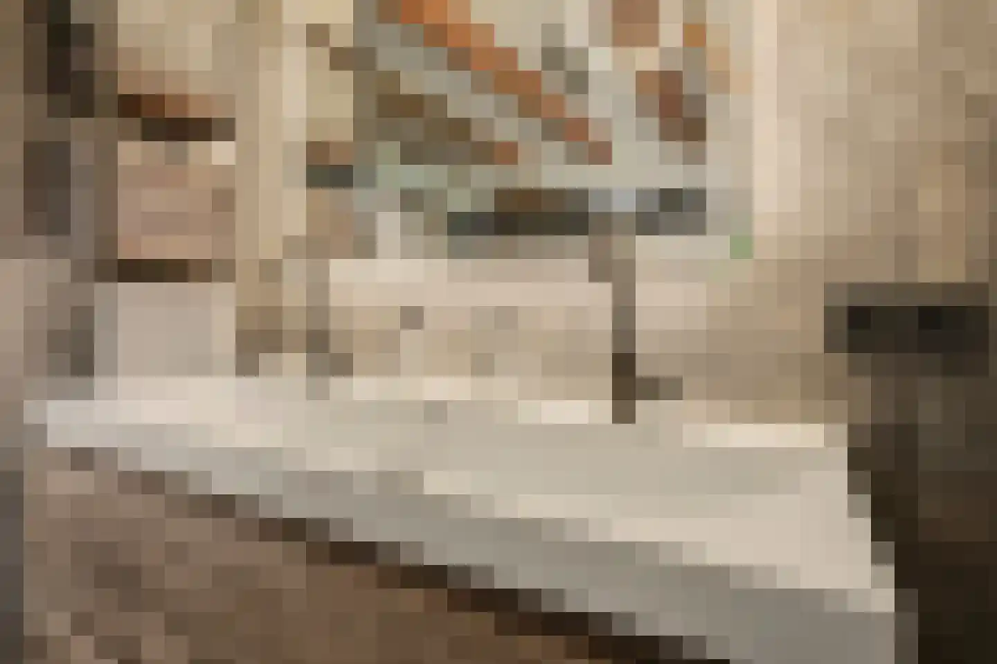 Heinis 12 's-Hertogenbosch thumbnail 24