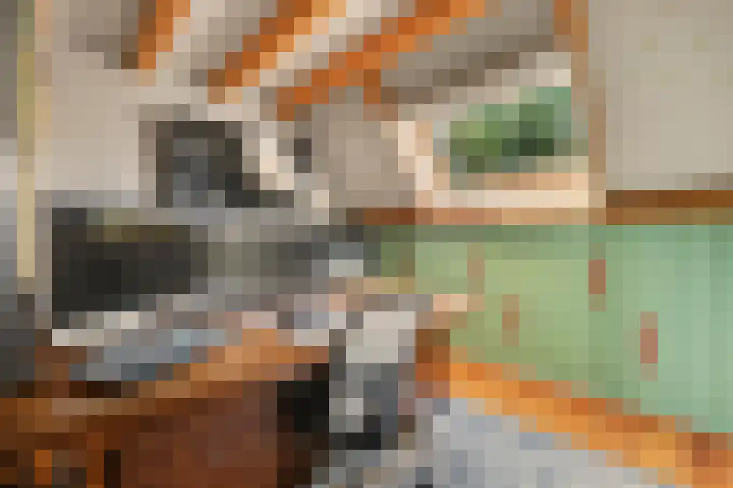 Heinis 12 's-Hertogenbosch thumbnail 26
