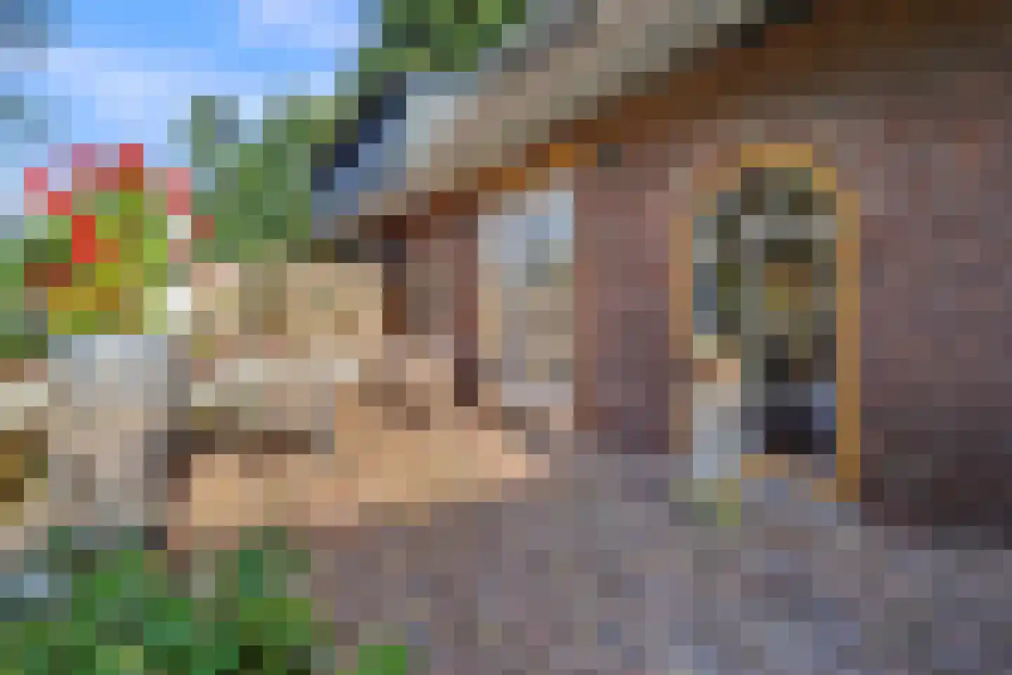 Heinis 12 's-Hertogenbosch thumbnail 36