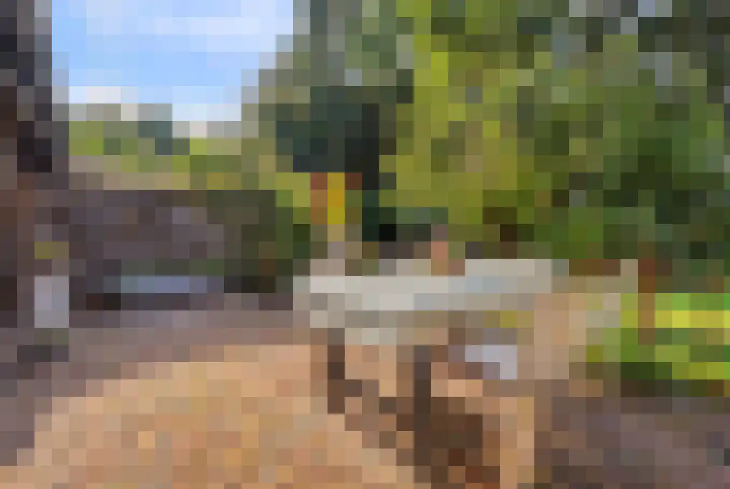 Heinis 12 's-Hertogenbosch thumbnail 37