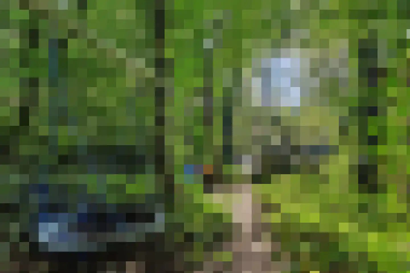 Heinis 12 's-Hertogenbosch thumbnail 38
