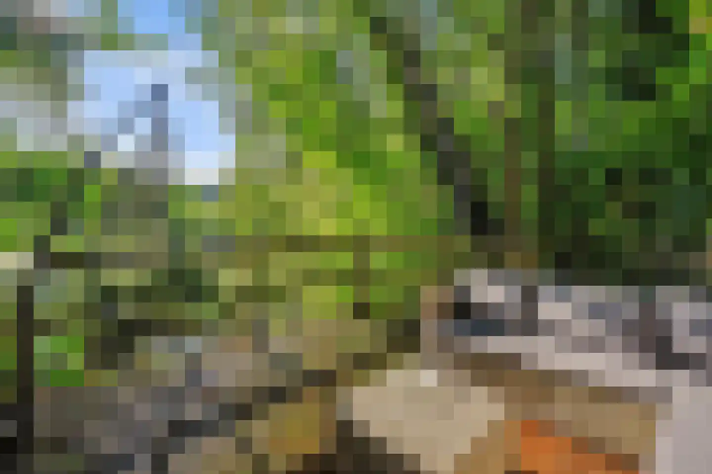 Heinis 12 's-Hertogenbosch thumbnail 39