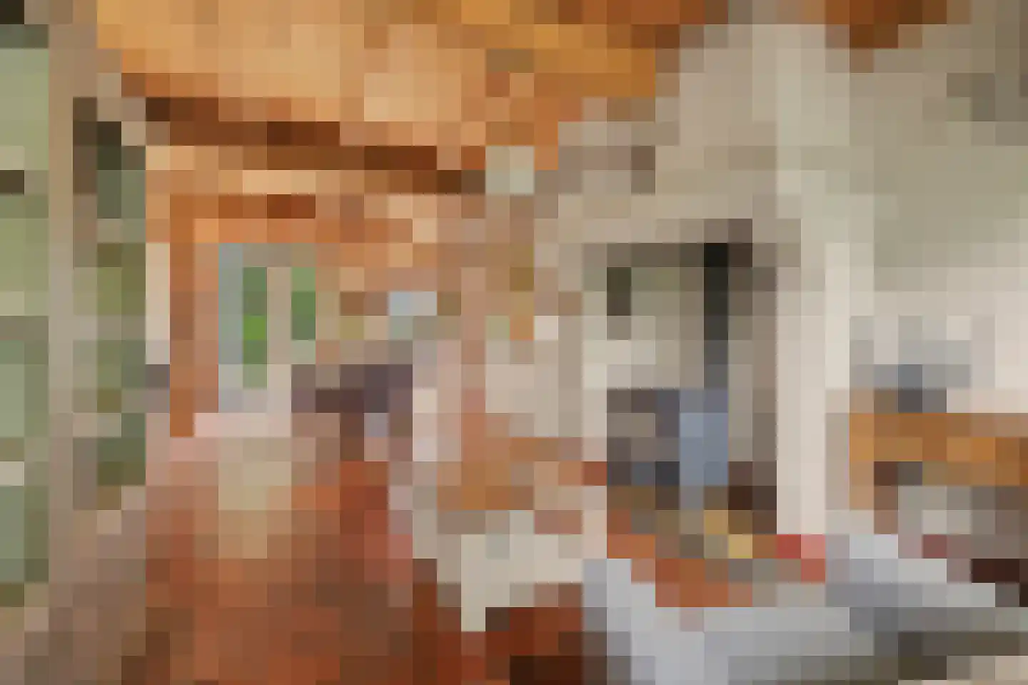 Heinis 12 's-Hertogenbosch thumbnail 4