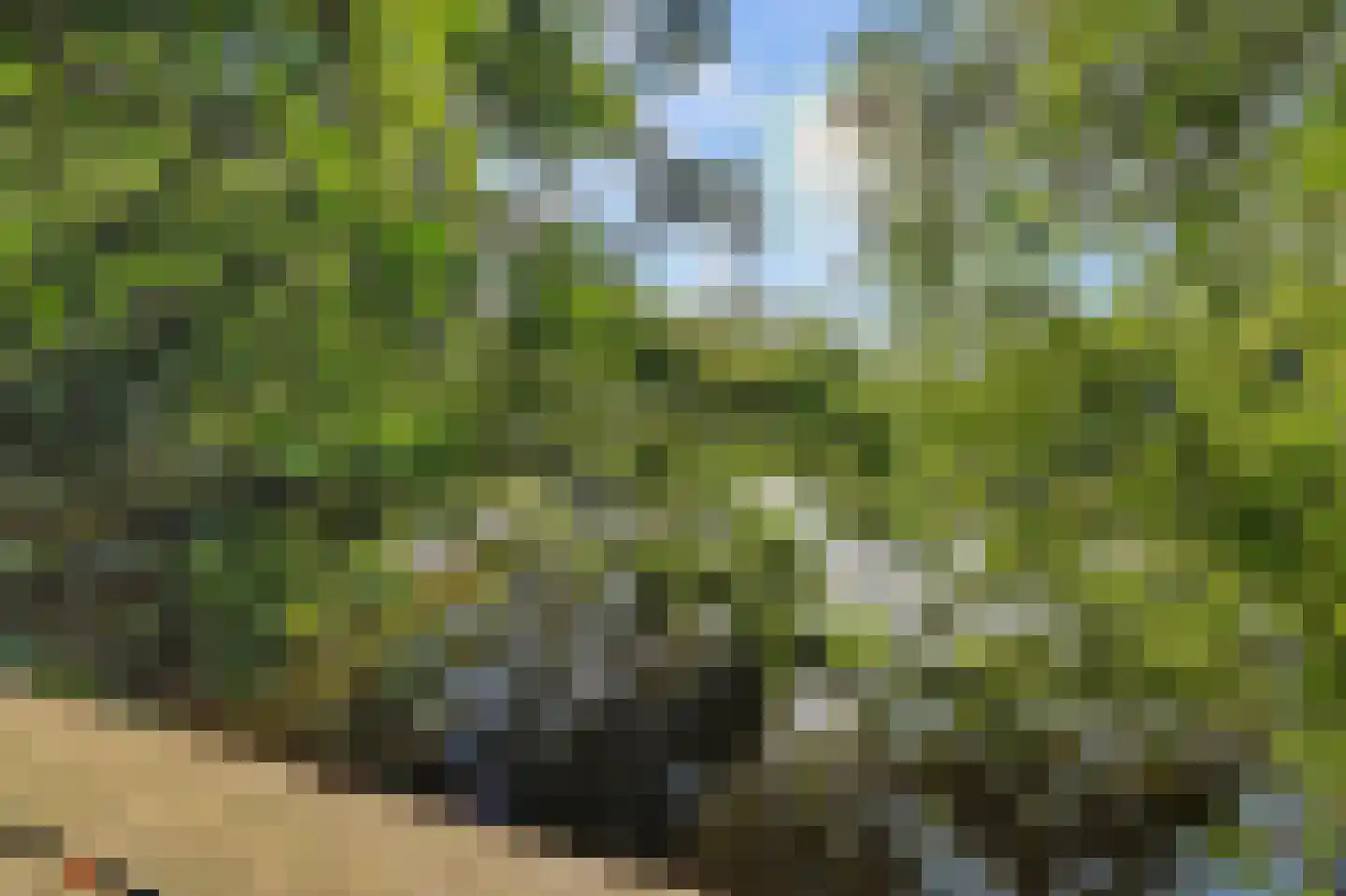 Heinis 12 's-Hertogenbosch thumbnail 40