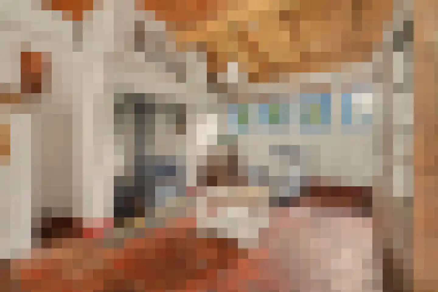 Heinis 12 's-Hertogenbosch thumbnail 5